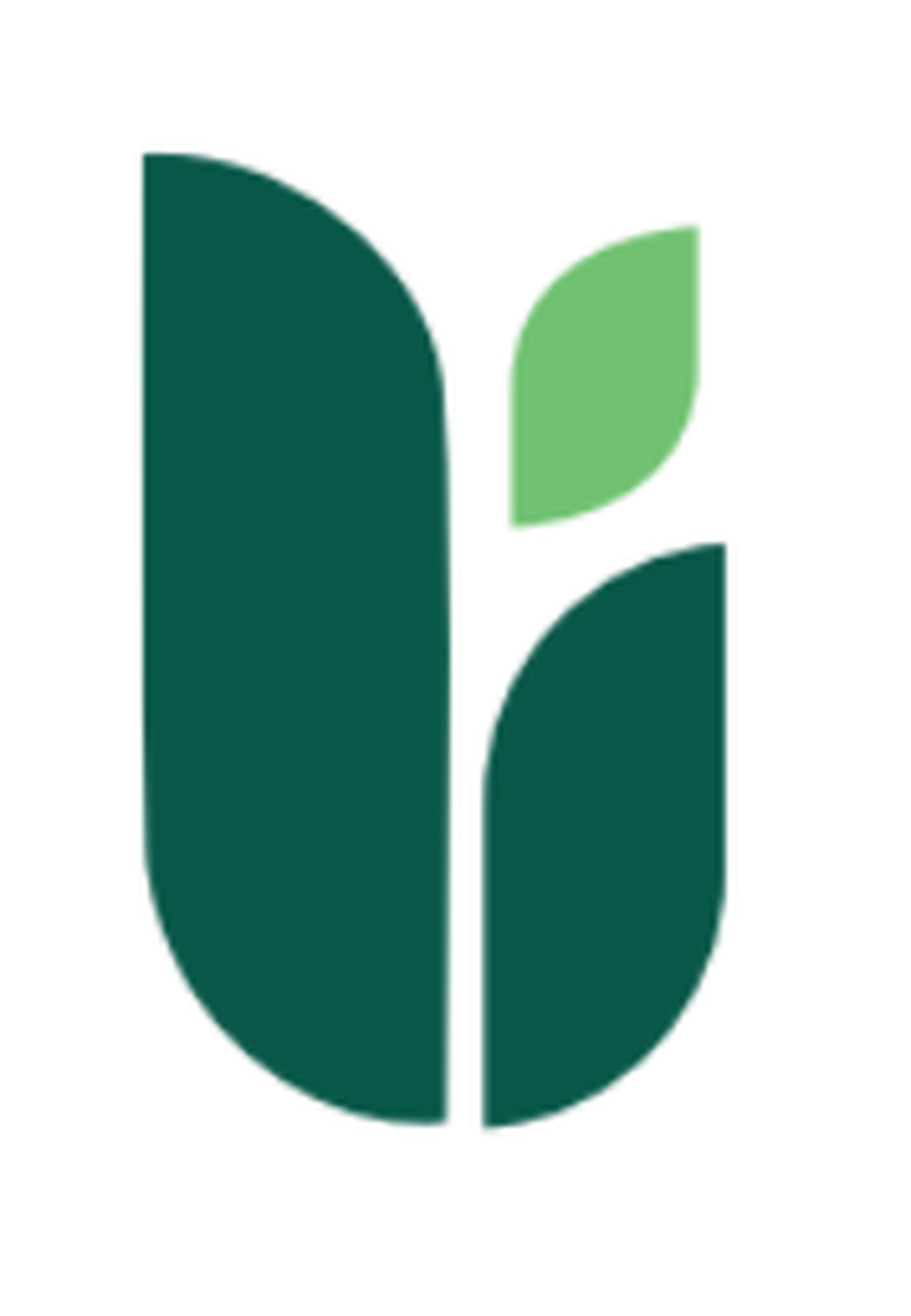 Fatwa Zakaat Al-Mal